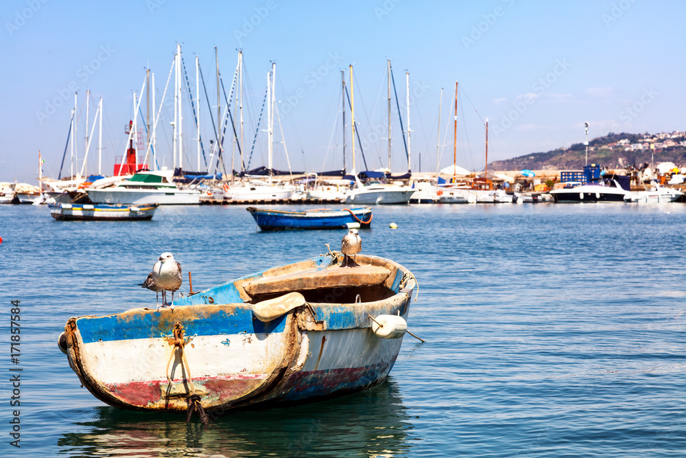 Obraz premium Mouettes sur une barque dans le port de Procida, golfe de Naples, région de Campanie, Italie 