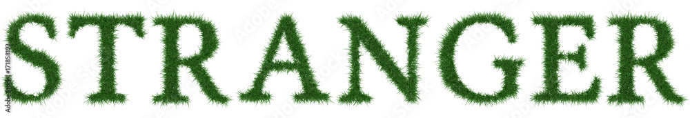 Stranger - 3D rendering fresh Grass letters isolated on whhite background. Stranger - 3D rendering fresh Grass letters isolated on whhite background.