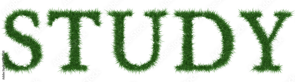 Study - 3D rendering fresh Grass letters isolated on whhite background. Study - 3D rendering fresh Grass letters isolated on whhite background.