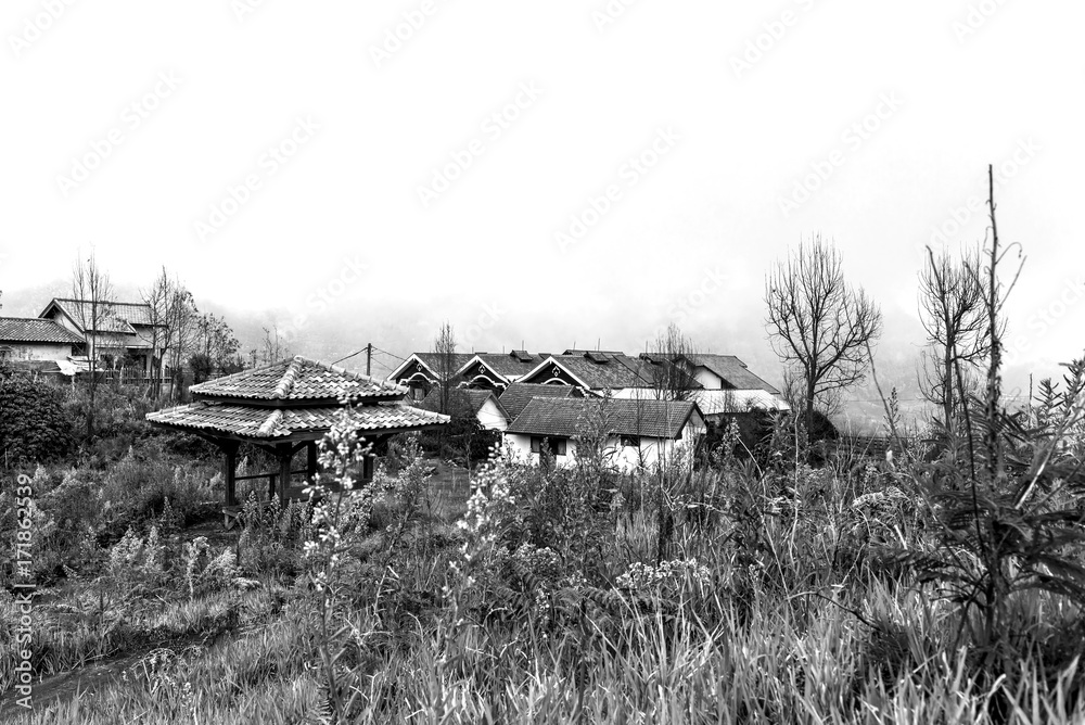 village houses near Mt Bromo covered with mist