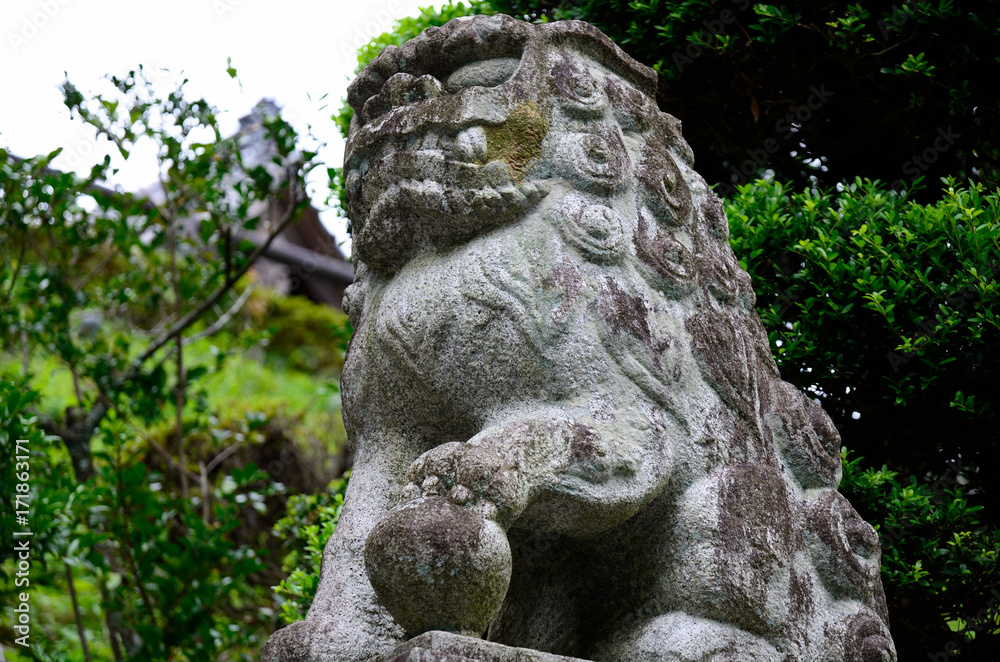 神社の狛犬 神社の狛犬