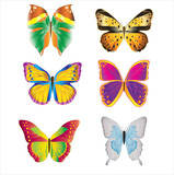 various colorful bright butterflies set on white background
