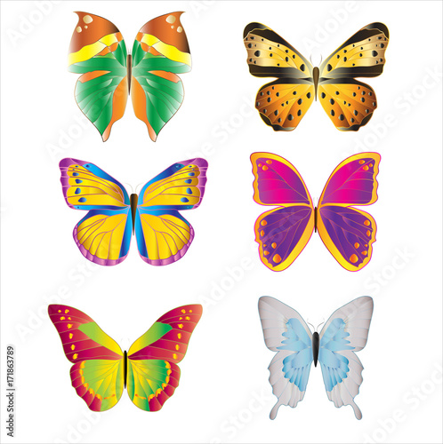 various colorful bright butterflies set on white background © dark_blade
