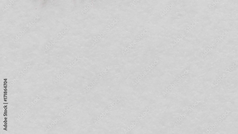Slow motion closeup black ink spreading on wet paper top view Slow motion closeup black ink spreading on wet paper top view