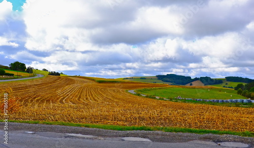 CAMPAGNE MONTS LYONNAIS