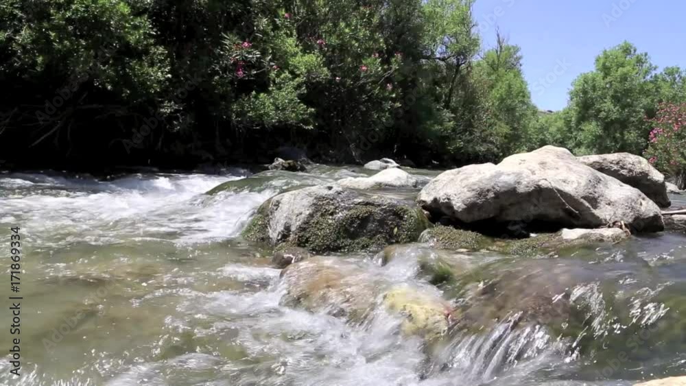 Fluss mit Felsen und kleinen Stromschnellen aus tiefer Perspektive gefilmt Fluss mit Felsen und kleinen Stromschnellen aus tiefer Perspektive gefilmt