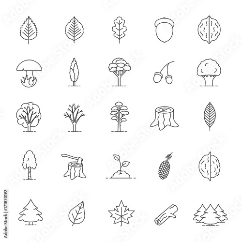 Tree types linear icons set