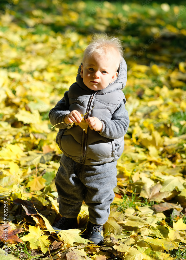 Baby boy with yellow autumn maple leaf Baby boy with yellow autumn maple leaf