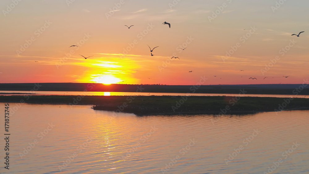 A flock of birds on the background of colorful sky. Sunset on the river. Island of gulls. Birds fly at sunset, aerial