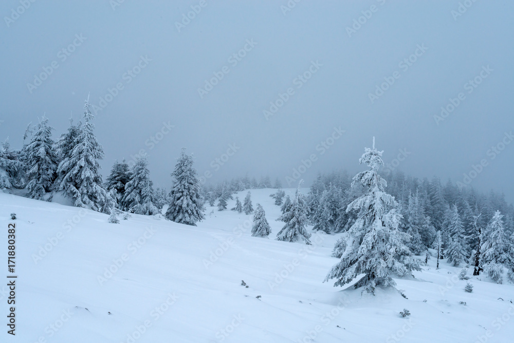 Fantastic winter landscape