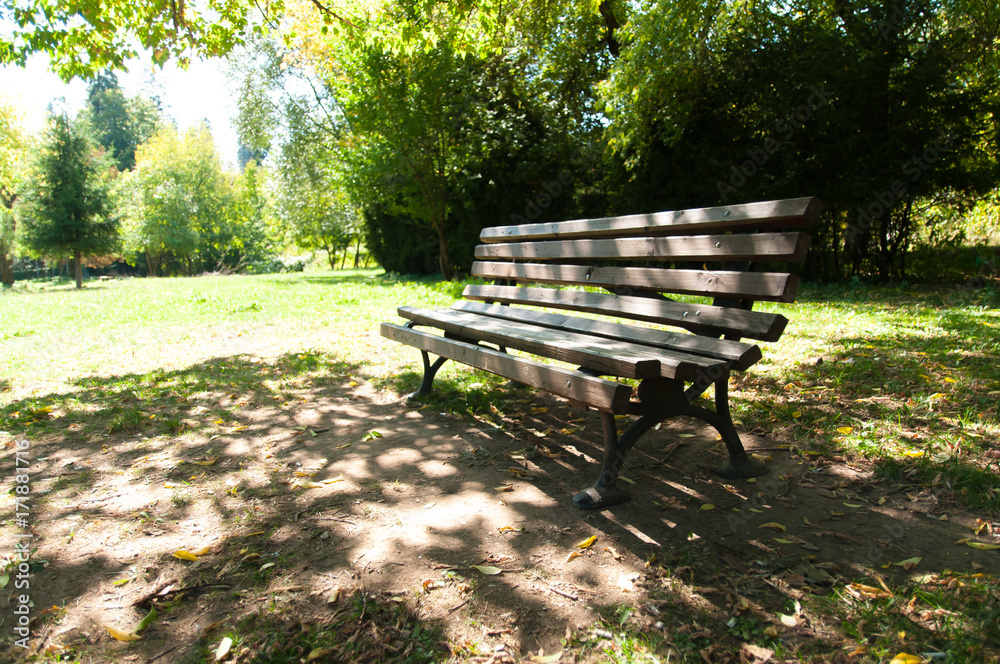 Old bench in the park.