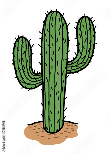 cactus in desert / cartoon vector and illustration, hand drawn style, isolated on white background.