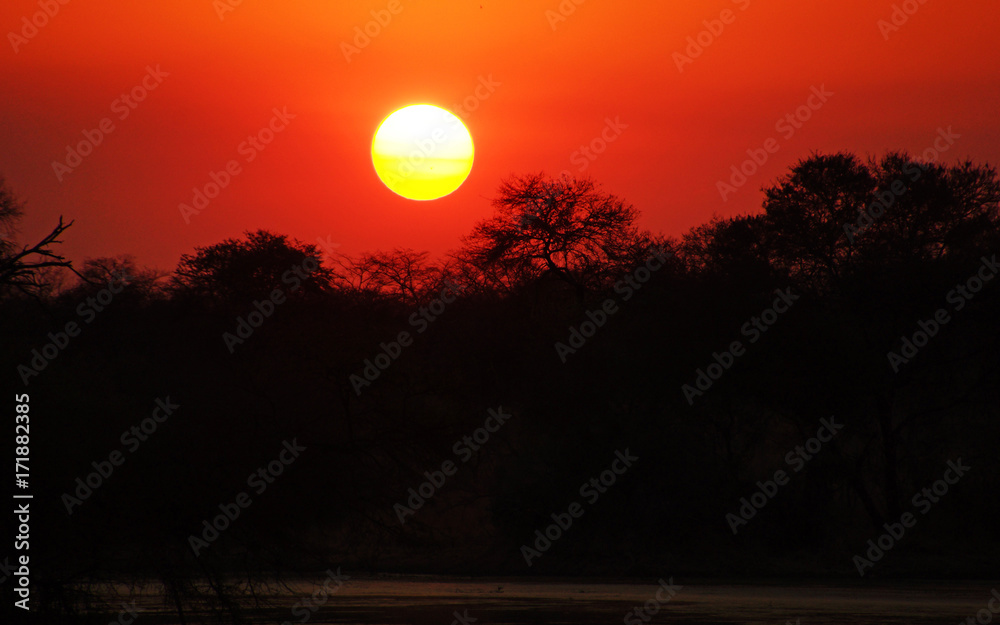 Sunset over an african rainforest