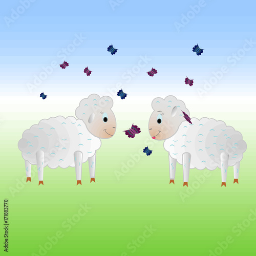 Couple of sheep in a meadow