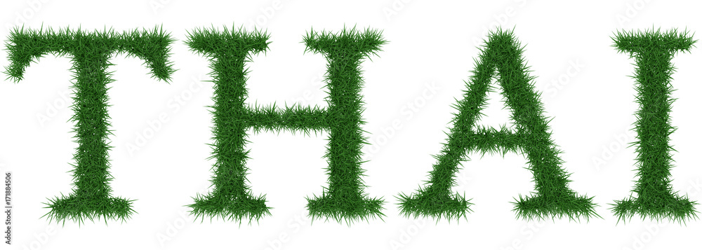 Thai - 3D rendering fresh Grass letters isolated on whhite background.