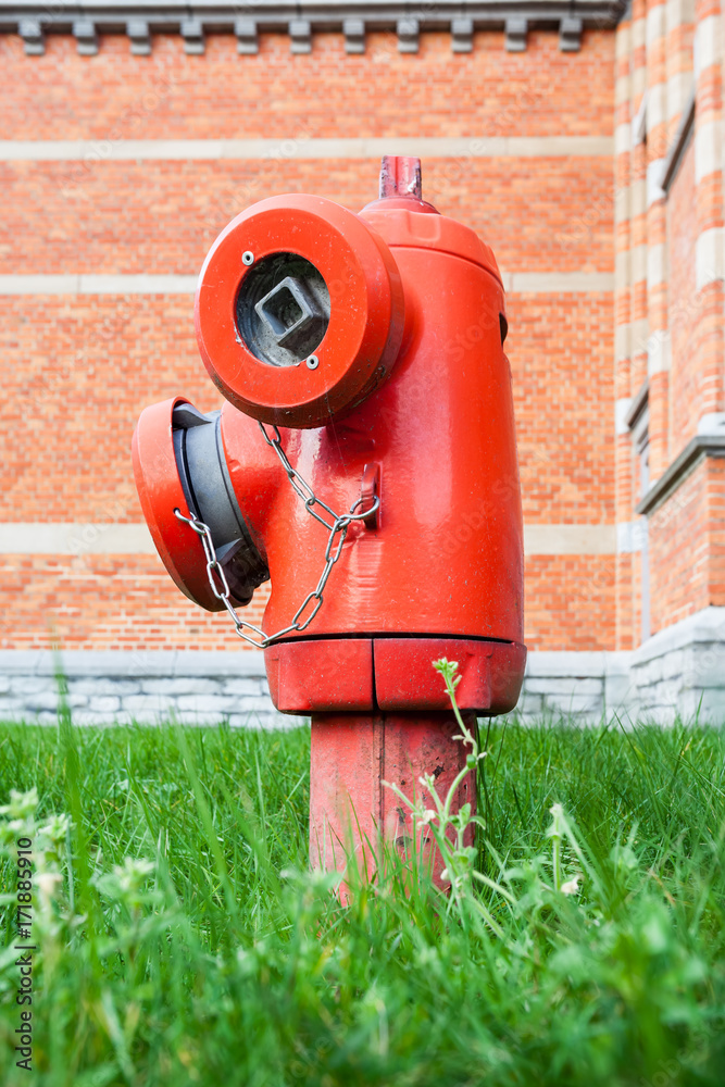 hydrant in the grass