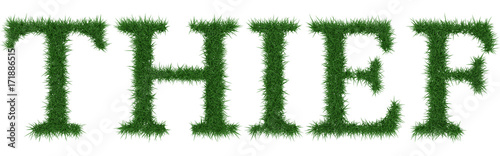 Thief - 3D rendering fresh Grass letters isolated on whhite background.
