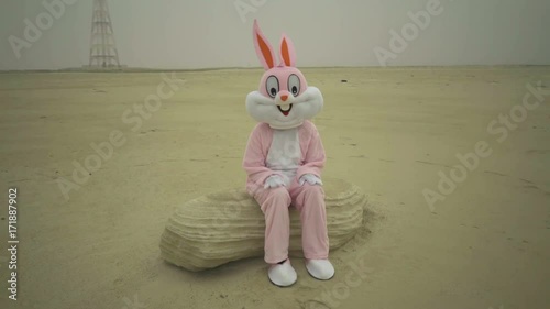 Easter rabbit sits on stone in desert. claps hands by knees. Crazy maniac or psycho in pink rabbit costume is sitting on sand