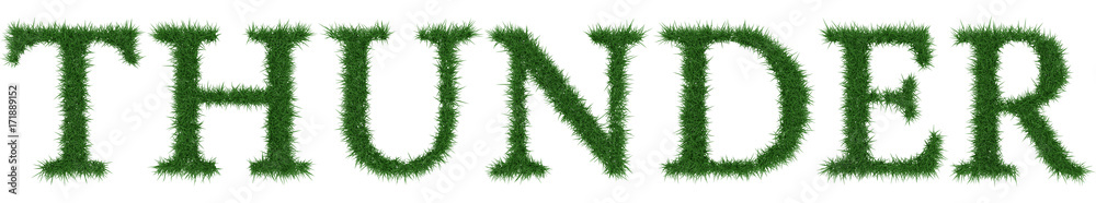 Thunder - 3D rendering fresh Grass letters isolated on whhite background. Thunder - 3D rendering fresh Grass letters isolated on whhite background.