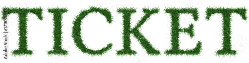 Ticket - 3D rendering fresh Grass letters isolated on whhite background.