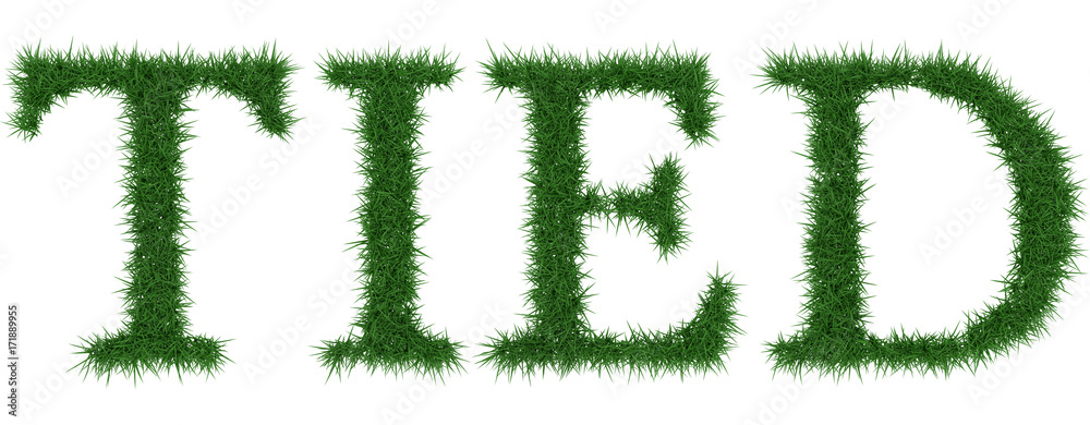Tied - 3D rendering fresh Grass letters isolated on whhite background. Tied - 3D rendering fresh Grass letters isolated on whhite background.