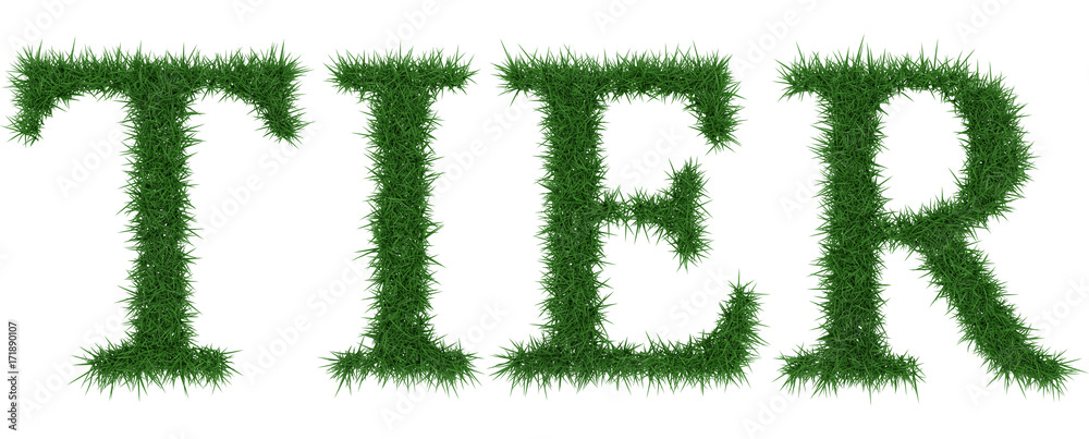 Tier - 3D rendering fresh Grass letters isolated on whhite background. Tier - 3D rendering fresh Grass letters isolated on whhite background.