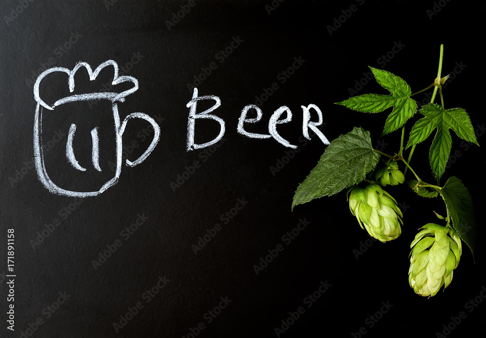 cones of hops on a chalkboard.Beer production ingredient. Brewery. Fresh-picked whole hops close-up. Brewing concept wallpaper.