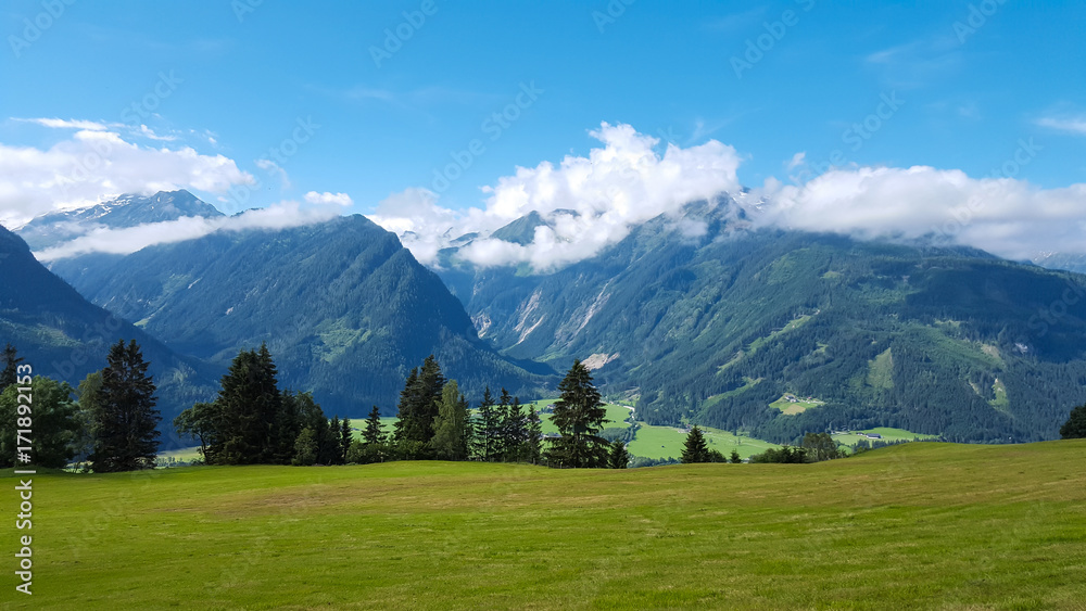 Austrian nature, field, trees and mountains