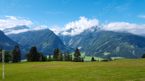 Austrian nature, field, trees and mountains