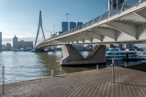 Rotterdam city cityscape skyline with Erasmus bridge and river. South Holland, Netherlands. © haveseen