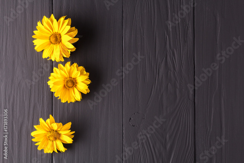 Fototapeta Naklejka Na Ścianę i Meble -  frame of flowers, background black boards