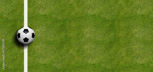 Soccer ball on field grass background. 3d illustration © viperagp