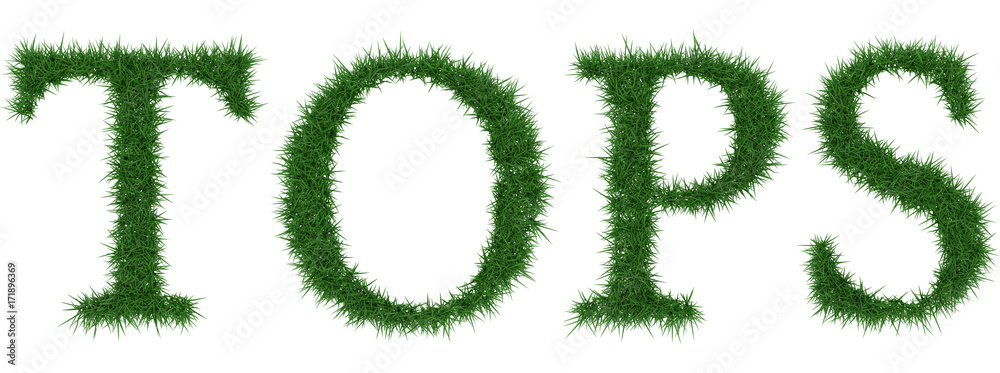 Tops - 3D rendering fresh Grass letters isolated on whhite background. Tops - 3D rendering fresh Grass letters isolated on whhite background.