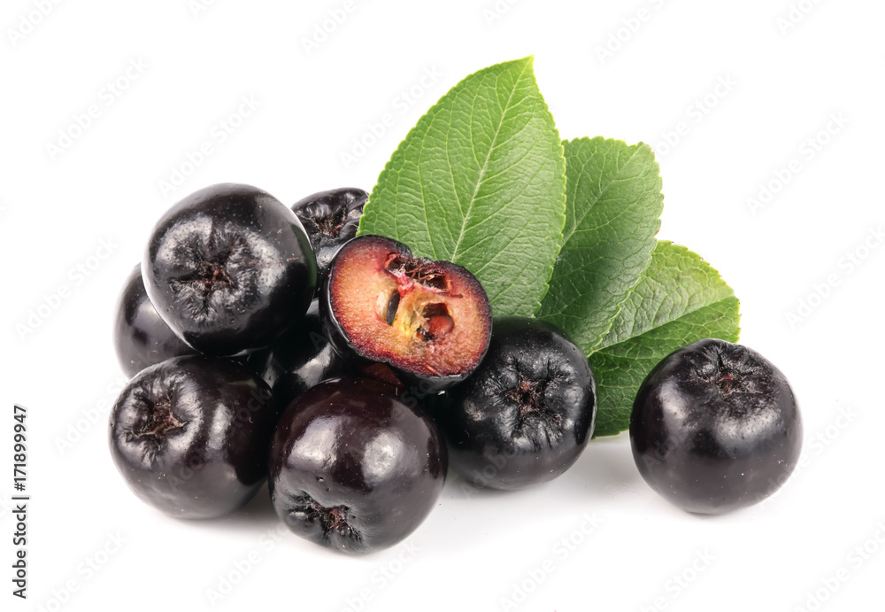 Chokeberry with leaf isolated on white background. Black aronia berries Chokeberry with leaf isolated on white background. Black aronia berries