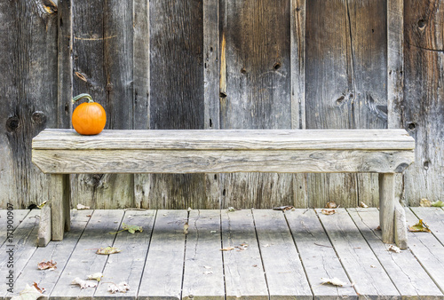 Rustc bench and weather grunge wood wall with small vibrant orange pumpkin photo