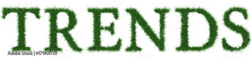 Trends - 3D rendering fresh Grass letters isolated on whhite background. photo