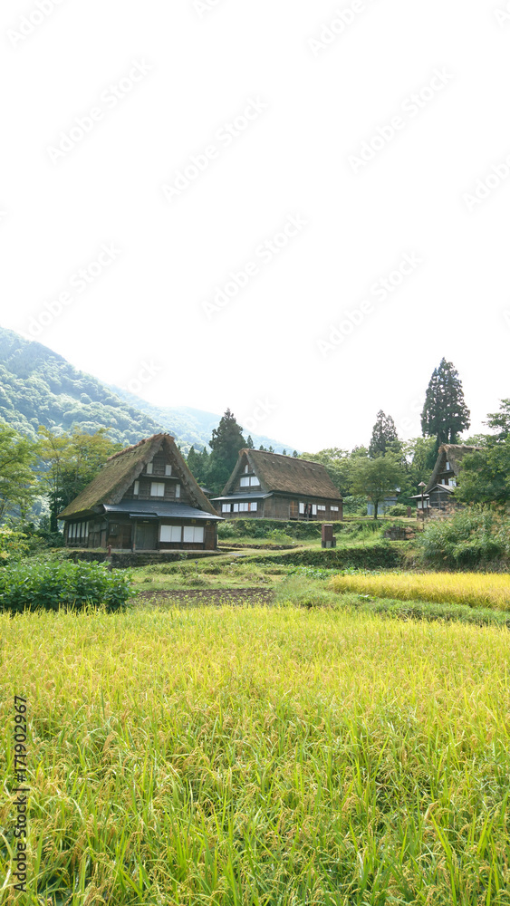 Fototapeta premium 世界遺産 五箇山の秋 相倉集落