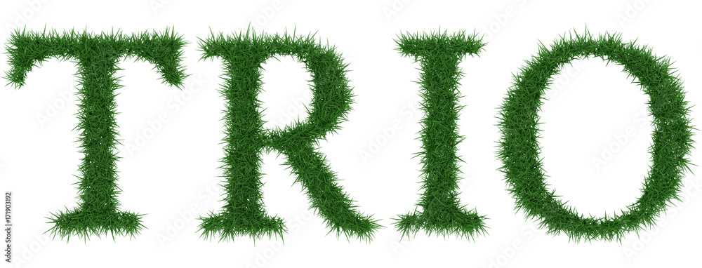 Trio - 3D rendering fresh Grass letters isolated on whhite background. Trio - 3D rendering fresh Grass letters isolated on whhite background.