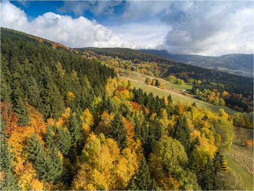 Aerial view to the autumn colored forest.