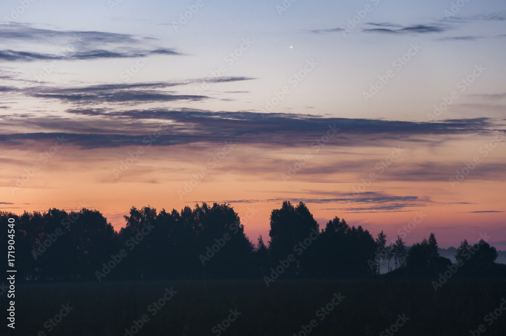 Dawn in the summer Dawn in the summer