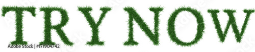 Try Now - 3D rendering fresh Grass letters isolated on whhite background. photo