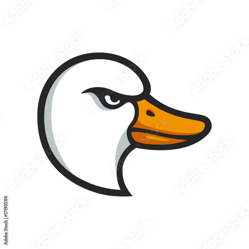 Goose head illustration