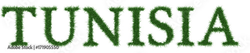 Tunisia - 3D rendering fresh Grass letters isolated on whhite background.