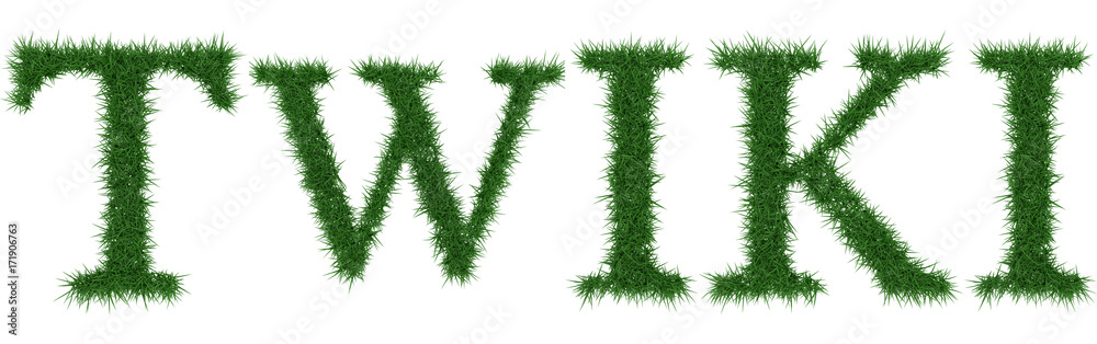 Twiki - 3D rendering fresh Grass letters isolated on whhite background. Twiki - 3D rendering fresh Grass letters isolated on whhite background.