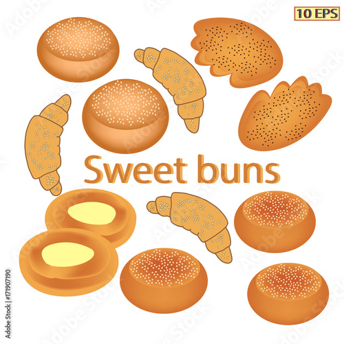Buns. Fresh buns. Sweet buns for tea. Bakery, bakery products, pastries. Vector illustration, isolated on white background.