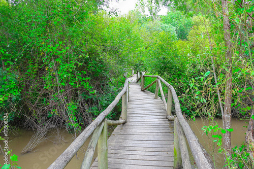 Wooden pathway in beautiful landscape in Donana Natural Park and nature reserve. Palace of Acebron in Huelva  Andalusia Spain