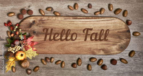 Wooden board with text "Hello Fall" with Fall decorations on wood