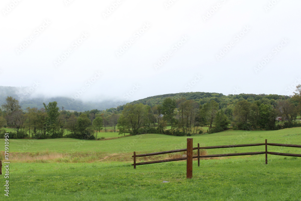 Green meadow with fence opening and foggy mountain scene behind
