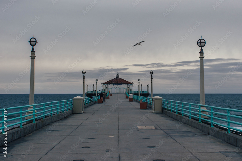 bird flying over beach pier