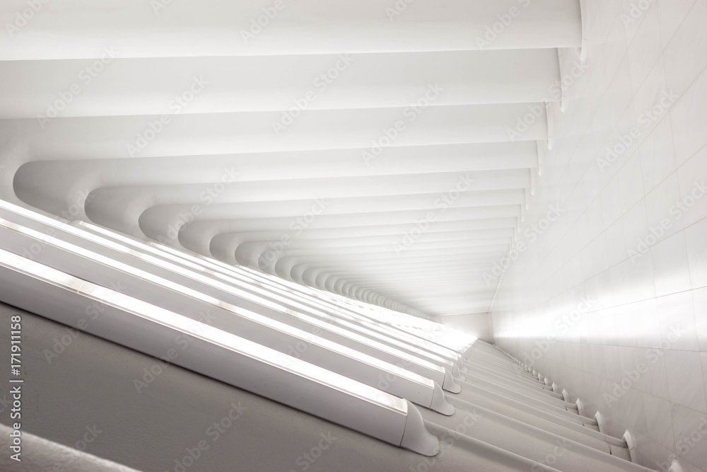 intricate 3D white architecture intricate 3D white architecture